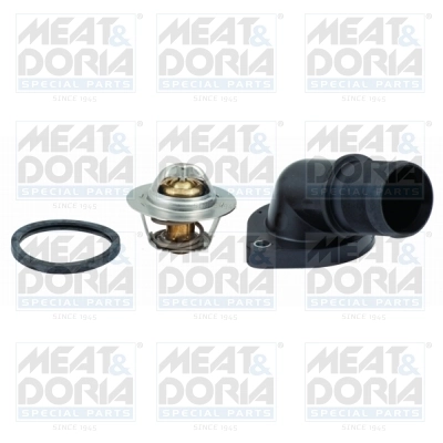 Thermostat, coolant